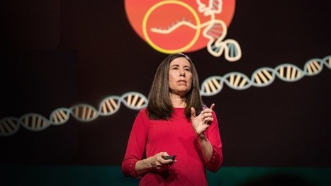 Qué se debe saber sobre CRISPR | En la red | Educación, TIC y ecología | Scoop.it