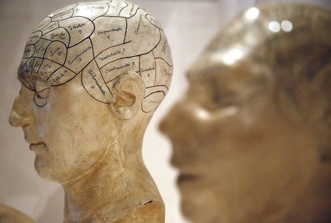 A New Theory Explains How Consciousness Evolved | Aux origines | Scoop.it