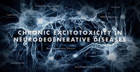 Chronic Excitotoxicity in Neurodegenerative Diseases Part 3 | El Paso, TX Chiropractor | Call: 915-850-0900 | Neuropathy "The Painful Enigma" | Scoop.it