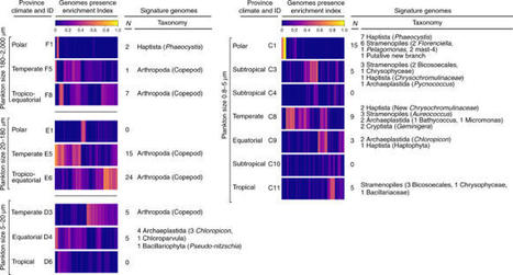 Restructuring of plankton genomic biogeography in the surface ocean under climate change - Nature Climate Change | Biodiversité | Scoop.it