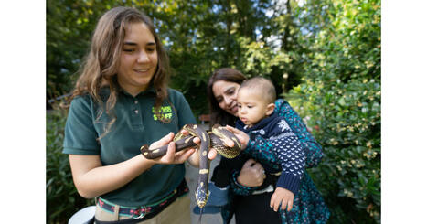 Woodland Park Zoo Awarded Transformative Grant to Advance Empathy for Animals   | Empathy and Animals | Scoop.it