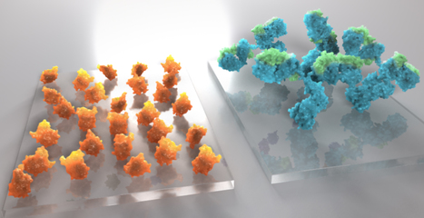 RNA targeting with CRISPR&ndash;Cas13&nbsp; Nature&nbsp; | Genetic Engineering Publications - GEG Tech top picks | Scoop.it