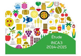 INCA 3 : Evolution en France des habitudes et modes de consommation alimentaire | ALIMENTATIONS | Scoop.it