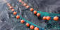 Balanced harvesting of fish communities: What are the consequences? | Soggy Science | Scoop.it