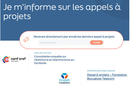 Le site de l'ANLCI possède une rubrique "Appel à projets" à laquelle vous pouvez vous abonner | Compétences de base, illettrisme, illectronisme... | Scoop.it