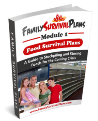 Family Survival Plans Blueprint PDF Download Free | E-Books & Books (PDF Free Download) | Scoop.it