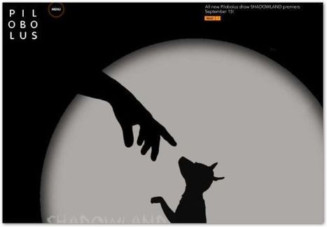 Pilobolus: Amazing contemporary dance company | The Creative Commons | Scoop.it