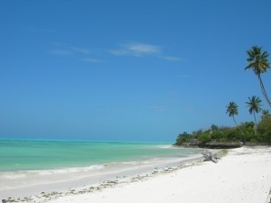 Viaggi di Turismo Responsabile: Percorsi turistici in Africa, Bacino del Mediterraneo e America Latina. | EcoTurismo e Mobilità Sostenibile | Scoop.it