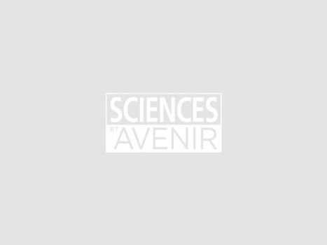 Un Plan Biodiversité 2018-2024 est annoncé pour mars par la Ville de Paris - Sciencesetavenir.fr | Biodiversité | Scoop.it