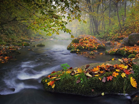 Autumn Landscape by Olegas Kurasovas | My Photo | Scoop.it