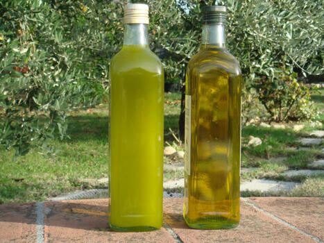 Boom delle importazioni di olio di oliva in Australia, Canada, Cina e Stati Uniti | OLIVE NEWS | Scoop.it