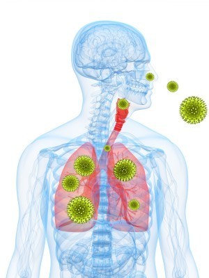 Hypersensitivity Pneumonitis 2012 Update - Review, Chest ... | Immunopathology & Immunotherapy | Scoop.it