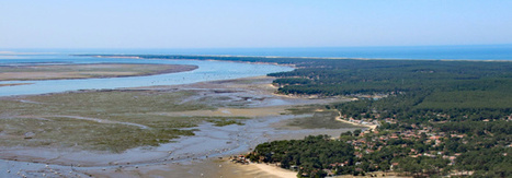 Bassin d'Arcachon : un programme d’observation du littoral pour mieux appréhender les évolutions de la lagune - Observatoire de la Côte Aquitaine | Télédétection veille IST INRAE & AgroParisTech | Scoop.it
