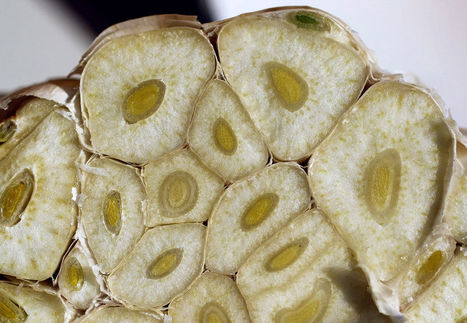 Crawfish Boil 101: Expert boilers give you their advice | UNIT III APHuG | Scoop.it