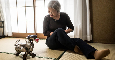 A #Robotic Dog’s Mortality By The New York times | Digital #MediaArt(s) Numérique(s) | Scoop.it