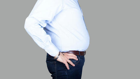Overeating 'not the primary cause of obesity', claim scientists | Science & Tech News | In the news: data in the UK Data Service collection across the web | Scoop.it