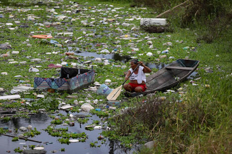 The Amazon Rainforest is Showing Signs of Plastic Pollution in Ways We Still Don&rsquo;t Fully Understand | RAINFOREST EXPLORER | Scoop.it
