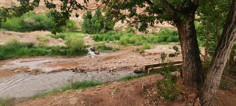 MAROC : Eau et terre : une gestion pour la survie | CIHEAM Press Review | Scoop.it