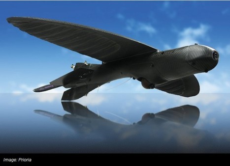 Army Scores a Super-Stealthy Drone That Looks Like a Bird | 21st Century Innovative Technologies and Developments as also discoveries, curiosity ( insolite)... | Scoop.it