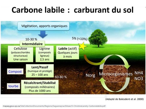 Le carbone labile au coeur de la productivité des systèmes agricoles | MOF matière organique réactive du sol | Scoop.it