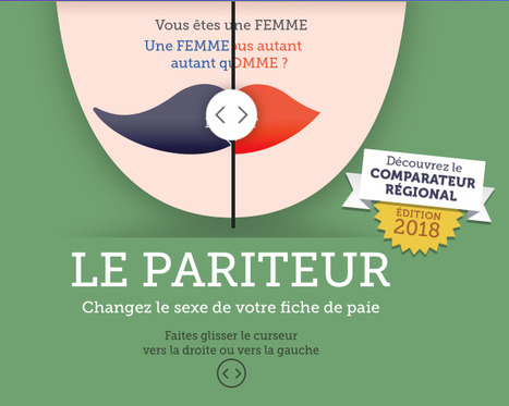 Le Pariteur 2018 : changez le sexe de votre fiche de paie (@we_do_data) | Journalisme graphique | Scoop.it