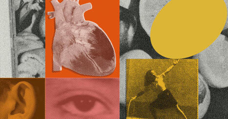 4 Ways Healthy Heart Habits Benefit Your Whole Body. | Hospitals and Healthcare | Scoop.it