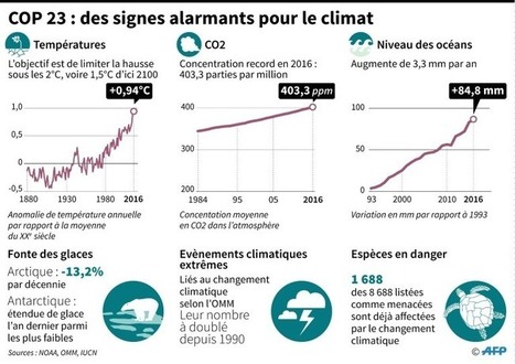 COP23 : 20 pays ont annoncé la création d'une alliance pour sortir du charbon d’ici 2030 | Biodiversité | Scoop.it