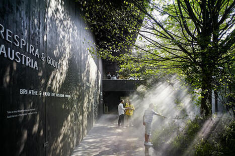 Jana Revedin (Italy) | Constructing a Sustainable Future | Scoop.it