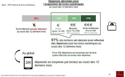 France : Une GIGANTESQUE étude sur les usages du livre numérique | IDBOOX | Le BONHEUR comme indice d'épanouissement social et économique. | Scoop.it