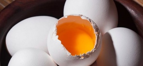 Le futur du food en 5 tendances | Digital | Scoop.it