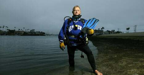 A retired teacher found some seahorses off Long Beach. Then he built a secret world for them | Soggy Science | Scoop.it