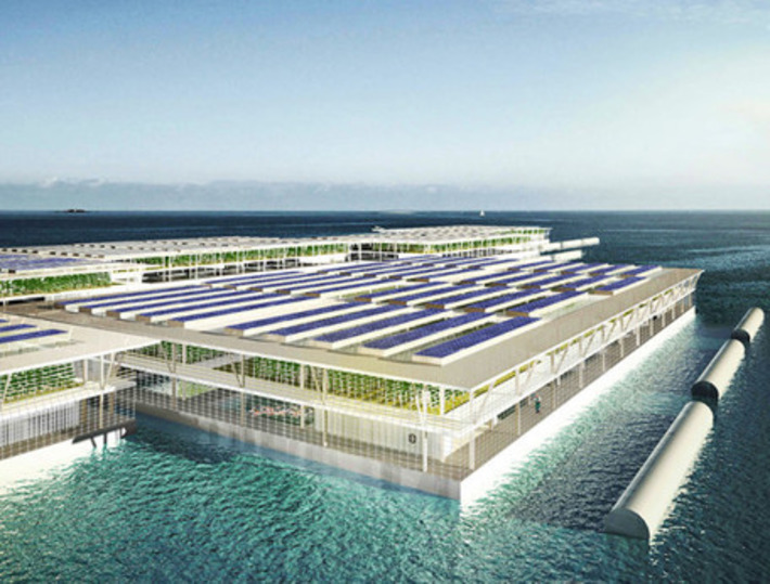 Could solar-powered floating farms provide enough food for the entire world? | Almere Groene Stad | Scoop.it