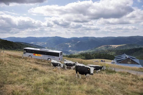Tourisme : pr&egrave;s de 15 millions de nuit&eacute;es sur la saison 2025 dans le Grand Est | Vosges Info | La SELECTION du Web | CAUE des Vosges - www.caue88.com | Scoop.it