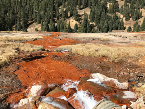 EPA crews working on Gold King cleanup find elevated lead threatening birds, animals and, potentially, people / 19.10.2017 | Pollution accidentelle des eaux (+ d&eacute;chets plastiques) | Scoop.it