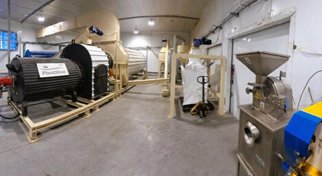 PhenOlives innove : farine d'olive industrielle durable | Agroalimentaire | Scoop.it