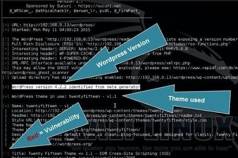 How to hack a WordPress website with WPScan | themes ninja | Scoop.it