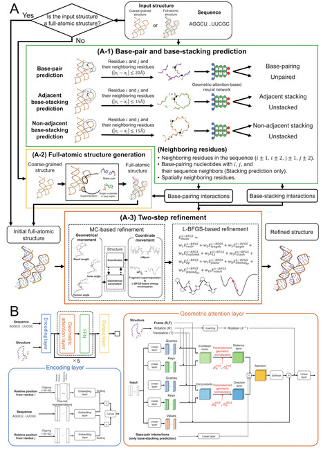 RNArefine: AI-guided Atomic-Level Refinement of RNA Structures | brvai | RMH | Scoop.it