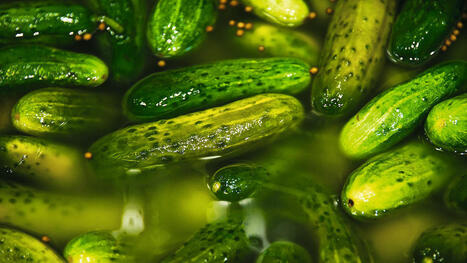 FOOD: Food lovers the world over are tickled by pickles | ALIMENTATIONS | Scoop.it