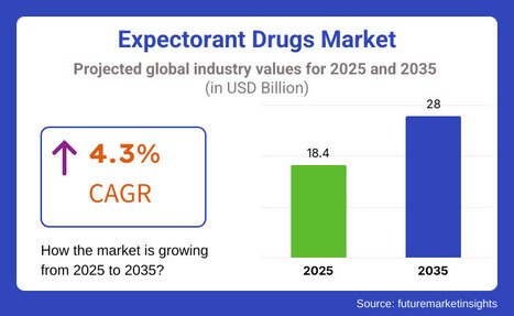 Global and European Expectorant Drugs Market Outlook 2025–2035 - Waste Management & Recycling News Today - EIN Presswire | Industry 411 - Waste Management | Scoop.it