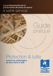 Un guide pratique “Protection et lutte contre les pathologies du bois dans le bâti” | Build Green, pour un habitat écologique | Scoop.it