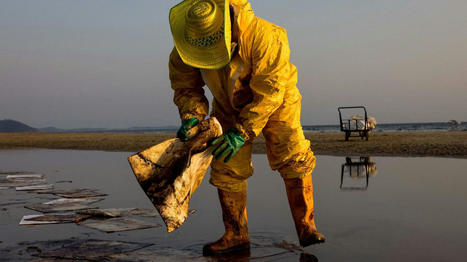 Thaïlande : le littoral touché par une marée noire après la fuite d'un oléoduc sous-marin / le 31.01.2022 | Pollution accidentelle des eaux (+ déchets plastiques) | Scoop.it