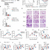 Virology News