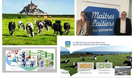 Maîtres laitiers du Cotentin s'inquiète pour 2022 après un rebond du résultat en 2021 | Lait de Normandie... et d'ailleurs | Scoop.it