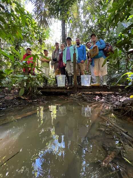 Different Year, Different Fish: Morpho Educators Track Change in Amazon Streams | RAINFOREST EXPLORER | Scoop.it