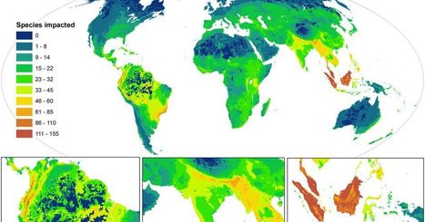 Cette carte montre la répartition des espèces les plus menacées | Biodiversité | Scoop.it