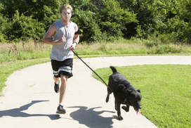 Shed the puppy fat | Physical and Mental Health - Exercise, Fitness and Activity | Scoop.it