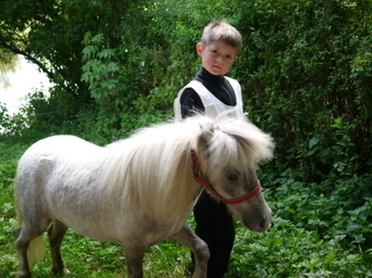 Toutes les images du concours de chevaux de loisirs | Cheval et Nature | Scoop.it