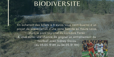 Sidney Govou lance une tombola pour la protection de la biodiversité - Du 3 au 6 mai 2019 | Variétés entomologiques | Scoop.it