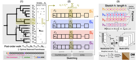 Enabling Megascale Microbiome Analysis with DartUniFrac | brveco | RMH | Scoop.it