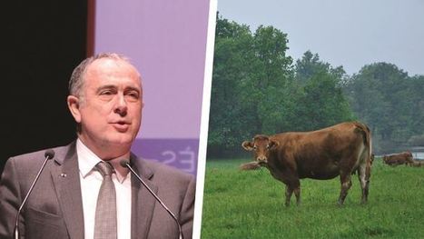 Covid-19 : face à la situation des éleveurs allaitants, le ministre réagit | Actualité Bétail | Scoop.it